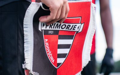 VABILO NA REDNO SKUPŠČINO ND PRIMORJE